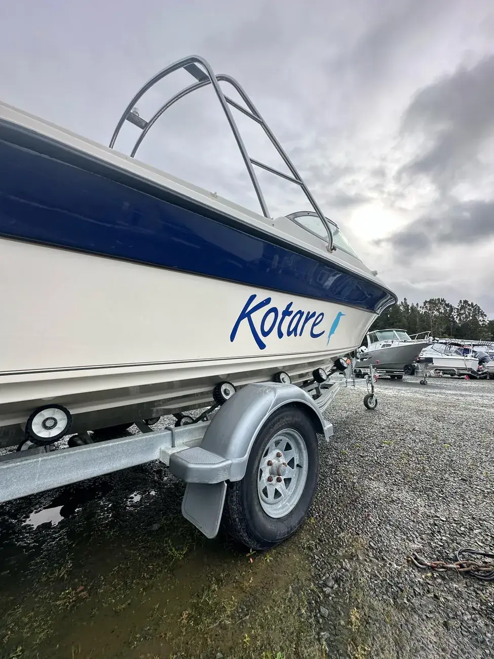 Trailer boat gleaming after a full exterior detail — Rodney